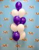 Picture of 11 Inch Helium Balloon Bouquet of 12