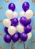 Picture of 11 Inch Helium Balloon Bouquet of 12